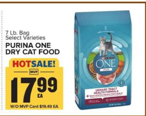Purina One Dry Cat Food