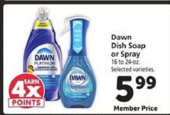 Dawn Dish Soap or Spray