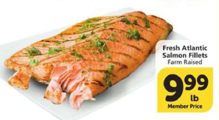 Fresh Atlantic Salmon Fillets