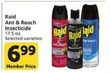 Raid Ant & Roach Insecticide
