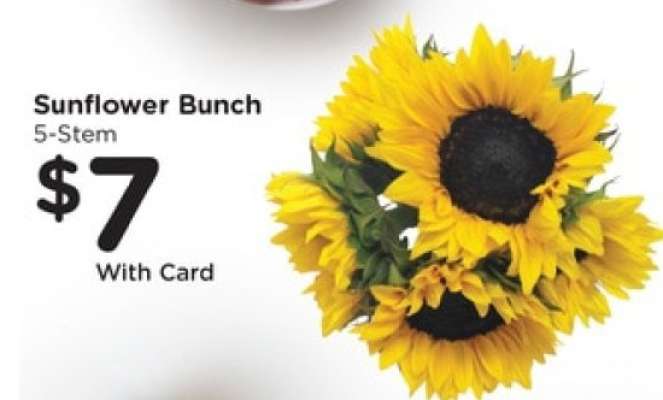 Sunflower Bunch
