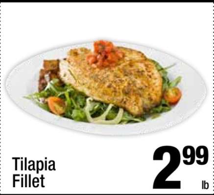 Tilapia Fillet