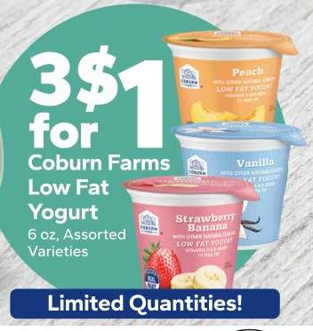 Coburn Farms Low Fat Yogurt