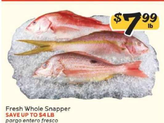 Fresh Whole Snapper