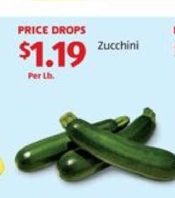 Zucchini