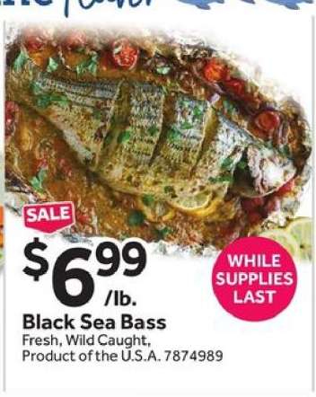 Black Sea Bass