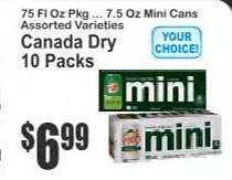 Canada Dry 10 Packs