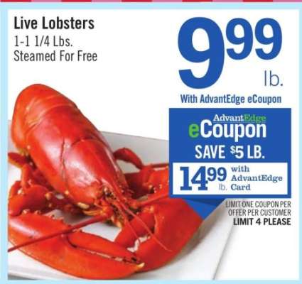 Live Lobsters