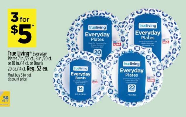True Living Everyday Plates or Bowls