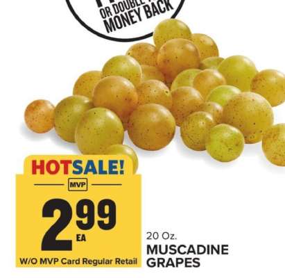 Muscadine Grapes
