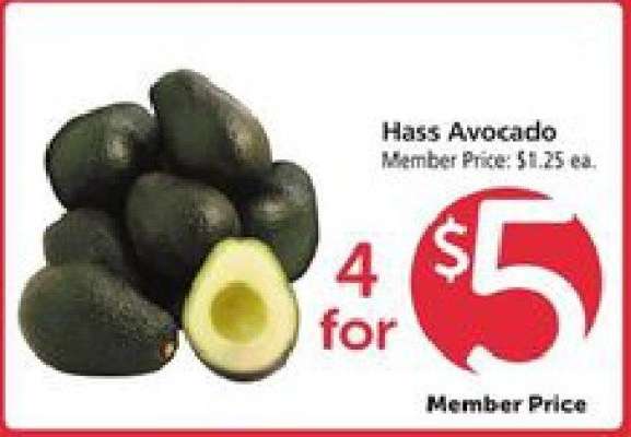 Hass Avocado