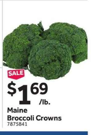 Maine Broccoli Crowns