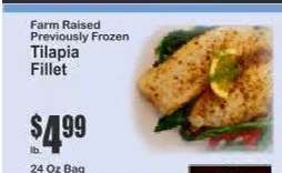 Tilapia Fillet