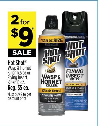 Hot Shot Wasp & Hornet Killer or Flying Insect Killer