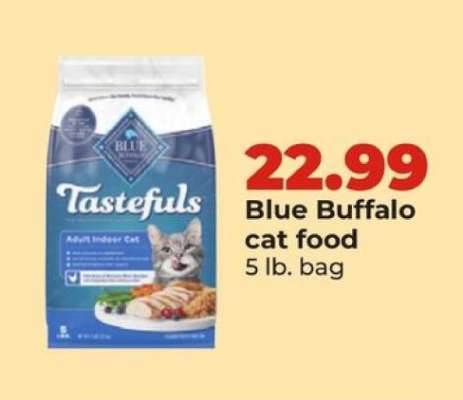Blue Buffalo Cat Food