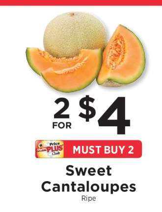 Sweet Cantaloupes
