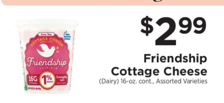 Friendship Cottage Cheese