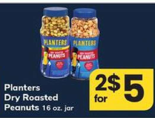 Planters Dry Roasted Peanuts