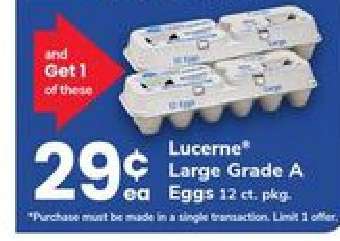 Lucerne Large Grade A Eggs