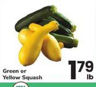 Green or Yellow Squash