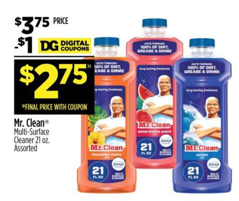 Mr. Clean® Multi-Surface Cleaner 21 oz. Assorted