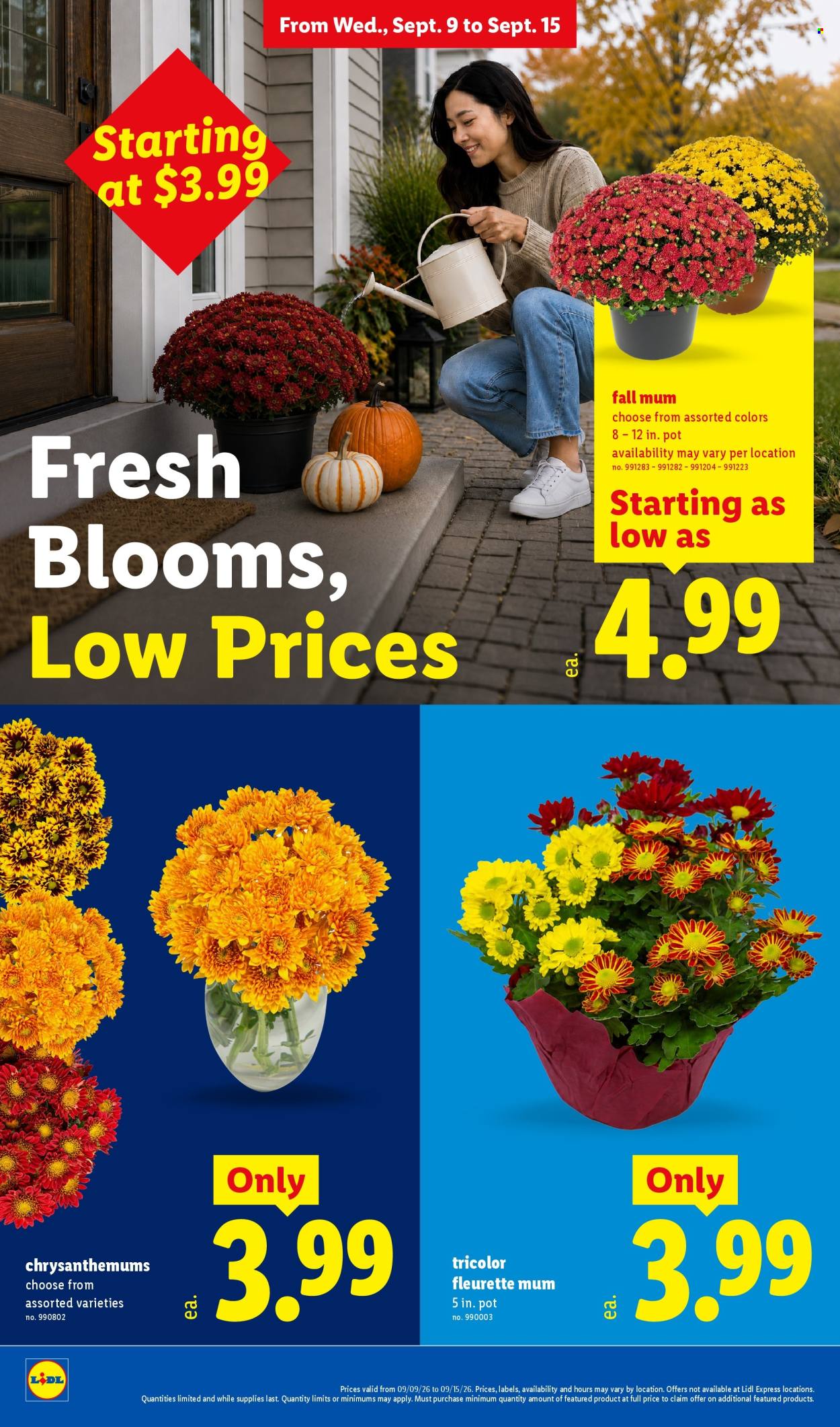 Lidl ad  - 09.09.2026 - 09.15.2026. Page 22