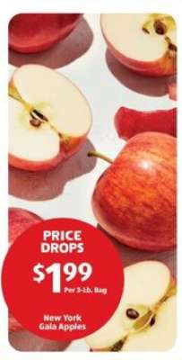 New York Gala Apples
