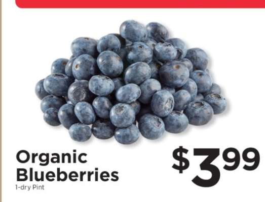 Organic Blueberries