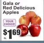 Gala or Red Delicious Apples