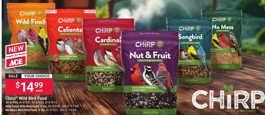 Chirp Wild Bird Food