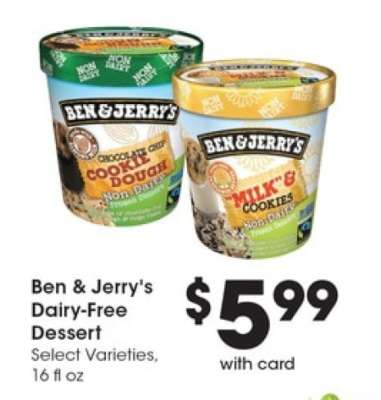 Ben & Jerry's Dairy-Free Dessert