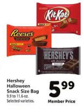 Hershey Halloween Snack Size Bag
