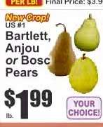 Bartlett, Anjou or Bosc Pears