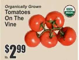 Tomatoes on the Vine