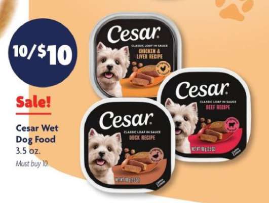 Cesar Wet Dog Food*