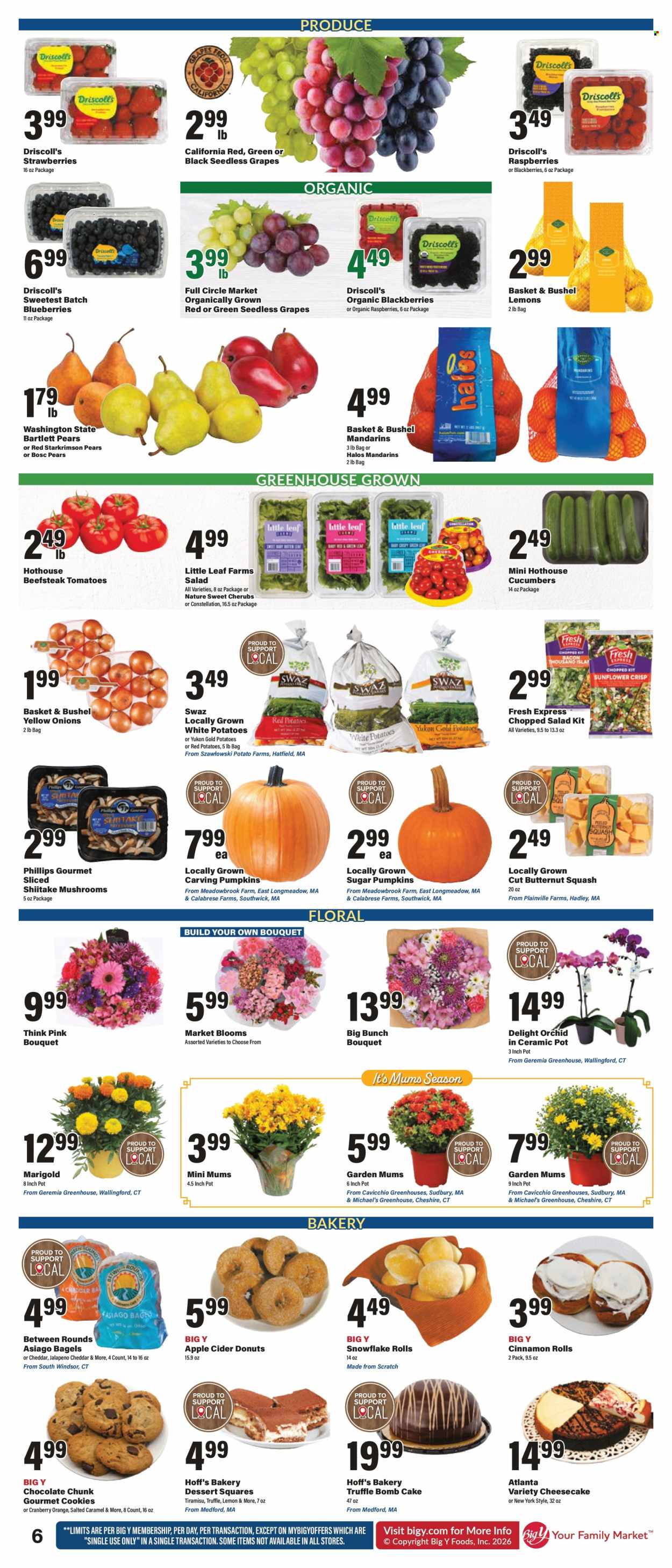 Big Y ad  - 10.01.2026 - 10.07.2026. Page 8