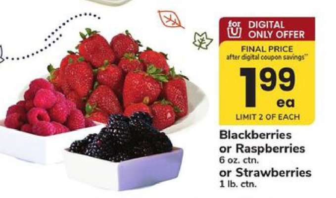 Blackberries or Raspberries or Strawberries