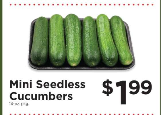 Mini Seedless Cucumbers