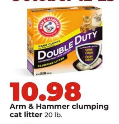 Arm & Hammer Clumping Cat Litter