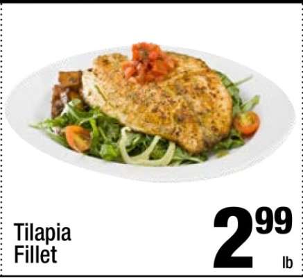 Tilapia Fillet