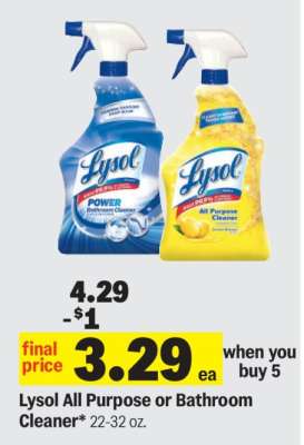 Lysol All Purpose or Bathroom Cleaner
