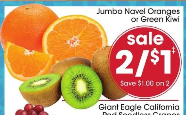 Jumbo Navel Oranges or Green Kiwi