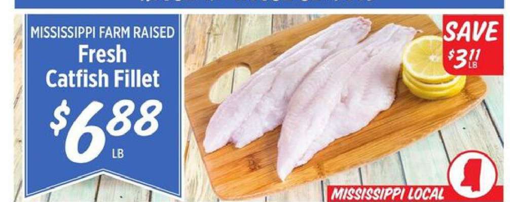 Fresh Catfish Fillet