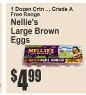 Nellie's Large Brown Eggs