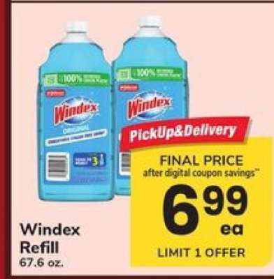 Windex Refill