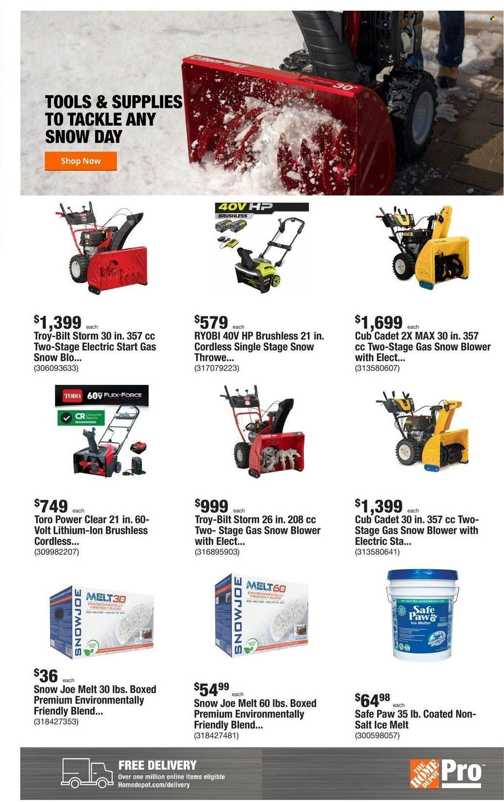 The Home Depot ad  - 01.10.2022 - 01.17.2022.