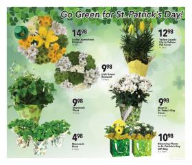 Cash Wise - St. Patrick's Day Floral