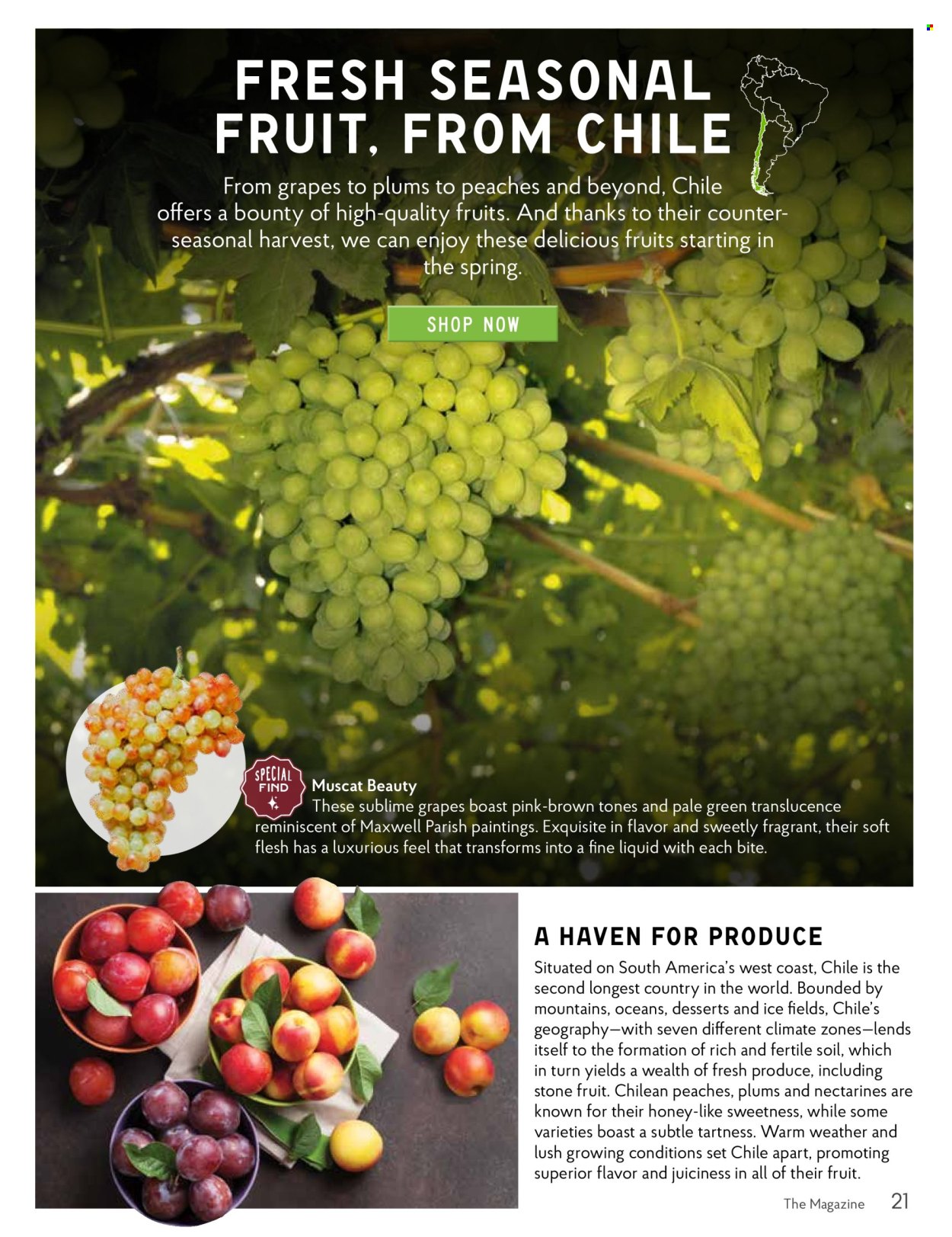 The Fresh Market ad  - 02.28.2024 - 04.02.2024.