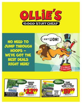 Ollie's Bargain Outlet - Current Ad